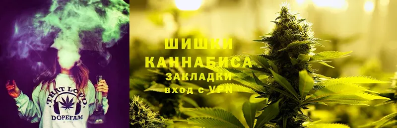 Конопля OG Kush  Тольятти 